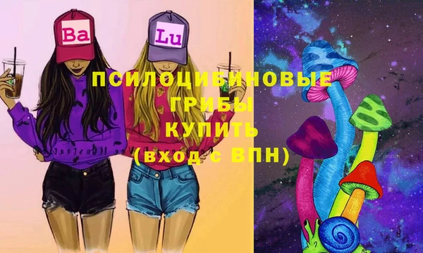 spice Богданович