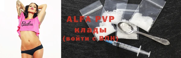 прущие грибы Богородицк