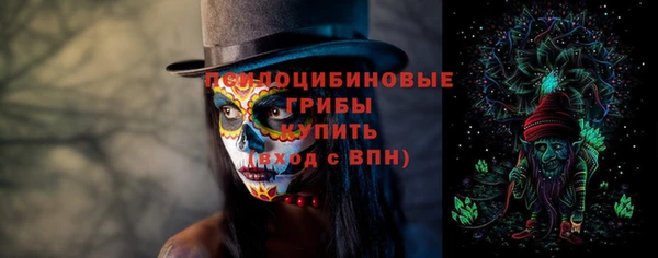2c-b Богородск