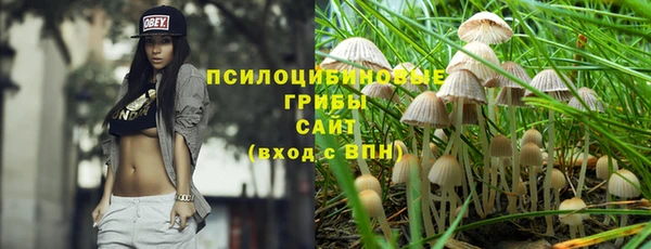 прущие грибы Богородицк