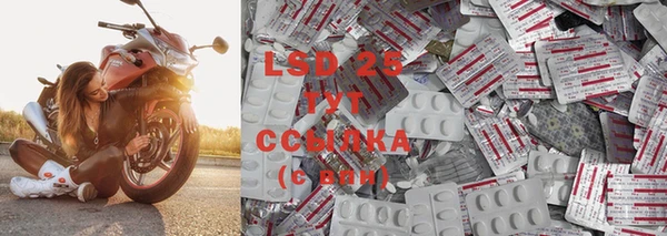 spice Богданович