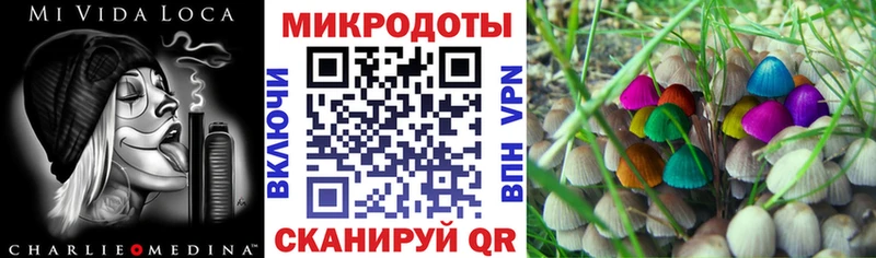 Галлюциногенные грибы Psilocybine cubensis  сколько стоит  Октябрьский 